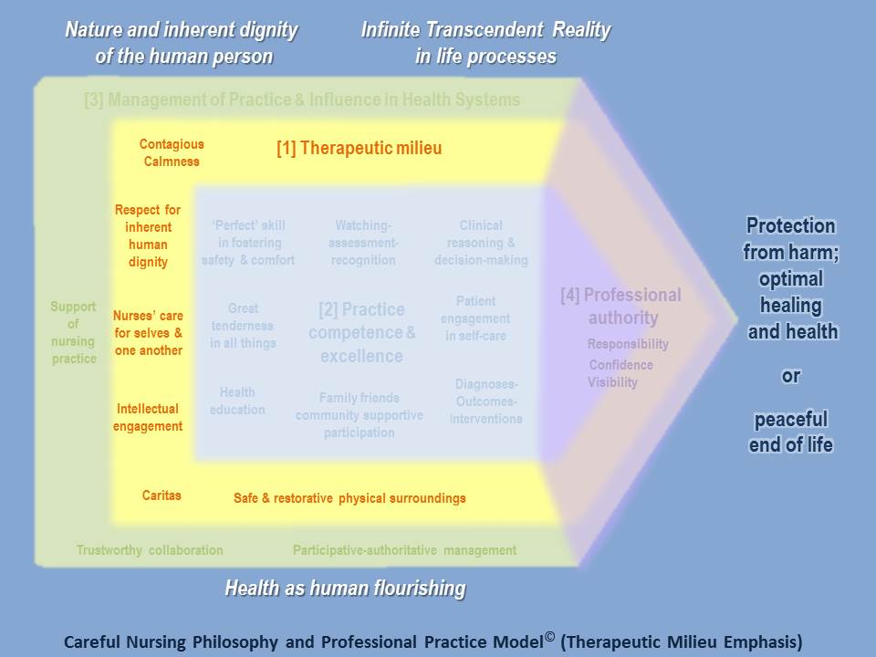 the-therapeutic-milieu-careful-nursing